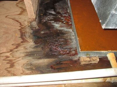 About Kryndex Guard - water damage restoration experts in Los Angeles